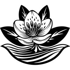 lotus flower vector