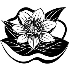 black and white lotus flower