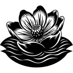 lotus flower isolated on white