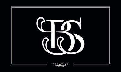 BS,S B, B, S, Abstract Letters Logo Monogram