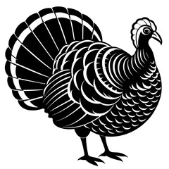 illustration of a country