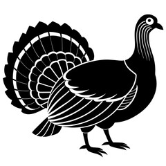 turkey vector illustration