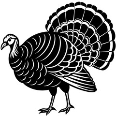 vector illustration of turkey