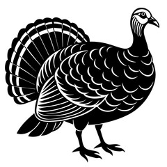 turkey vector illustration