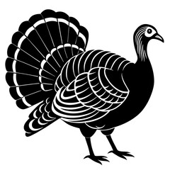 vector illustration of a turkey