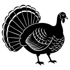 vector illustration of turkey