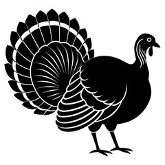 turkey vector illustration