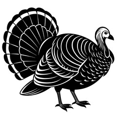 vector illustration of a turkey