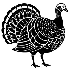 turkey vector illustration