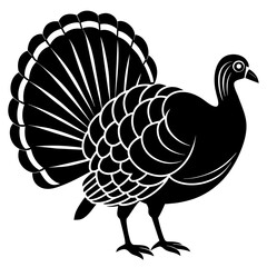 turkey vector illustration