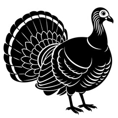 vector illustration of a turkey