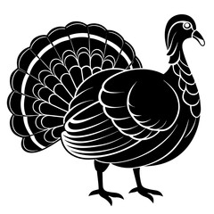 vector illustration of turkey