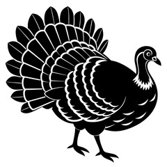 vector illustration of turkey