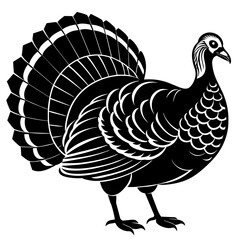 vector illustration of turkey