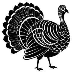 turkey vector illustration