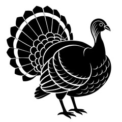 vector illustration of turkey