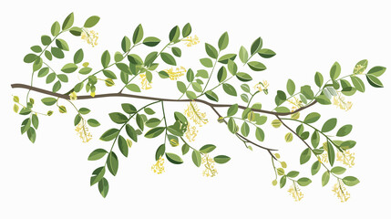 Obraz premium Serviceberry Locust Tree Isolated Vector Illustration