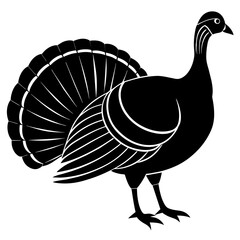 illustration of a peacock