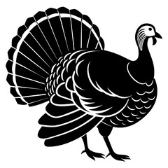 turkey vector illustration