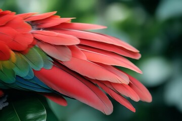 Obraz premium Close-up of parrot's vibrant red feathers, vividly displaying the texture and colors of nature's beauty.