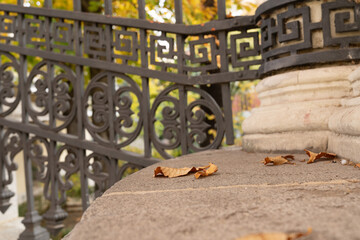 Image of a Beautiful decorative cast iron wrought fence with artistic forging. Metal guardrail close up.