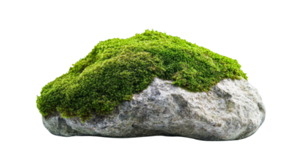 Rock covered with moss, transparent background