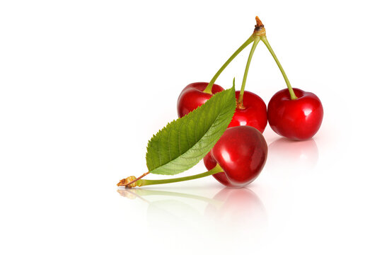 Obst 861