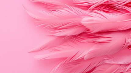 Obraz premium Flamingo feather texture, soft blush pink surface with subtle feather patterns