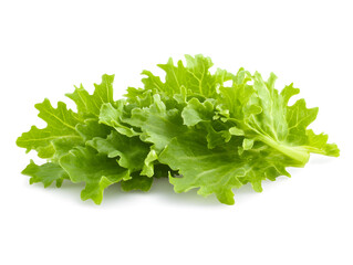fresh lettuce isolated on white