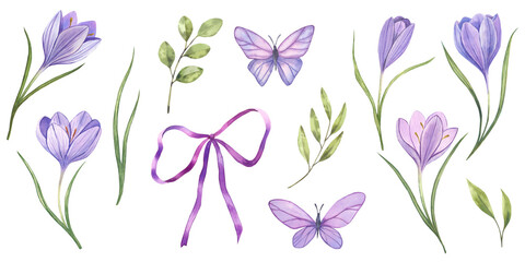 Watercolor spring set of lilac crocus flowers, butterflies, bow and green branches.