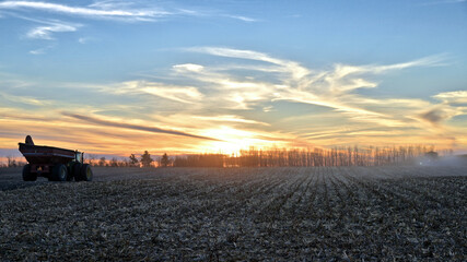 Silhouette of a combine harvester on the corn field at sunset
