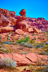 Naklejka premium Majestic Red Rock Formation in Valley of Fire Eye Level Perspective