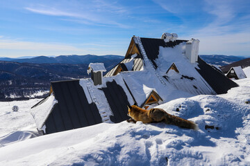 Połonina Wetlińska - Bieszczady Mountains © Jacek 