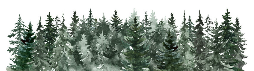 Pine trees forest watercolor illustration. Coniferous tree border, nature landscape graphic. Winter Holiday frame design. PNG clipart. © Anna Nekotangerine
