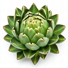 Fototapeta premium A fresh artichoke isolated on a white background, showcasing its unique texture and vibrant green color. Perfect for food, culinary, and healthy lifestyle-themed content.
