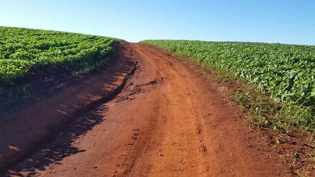 Estrada rural de terra de ch&atilde;o vermelho passando pela planta&ccedil;&atilde;o de soja em desenvolvimento.