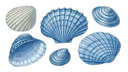 Fototapeta premium Blue Seashells Watercolor Composition Six Different Shells Isolated on White Background, Shell Collection, Ocean Life, Beach Decor Seashells, watercolor, illustration, marine life