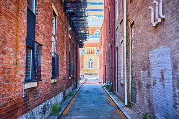 Fototapeta premium Historic Brick Alley and Ornate Building in Urban Cincinnati Perspective