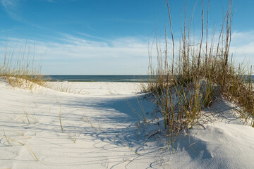 Peaceful Path to Heavenly Florida Beach