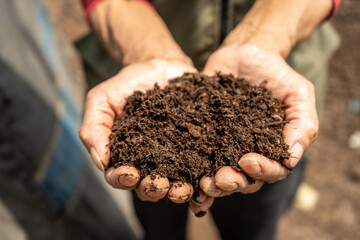 Woman Hands Hold Fresh Organic Soil in San Juan de Lurigancho, Peru