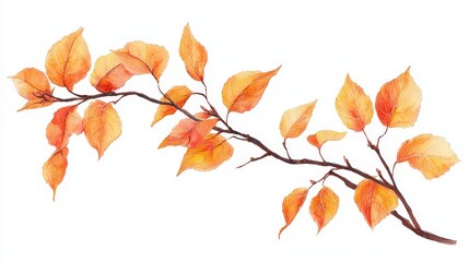 Naklejka premium A branch of a tree with orange leaves on it