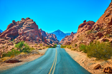 Rugged Red Rock Desert with Winding Road in Eye-Level Perspective