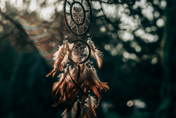 Dreamcatcher, american native spiritual bohemian mascot