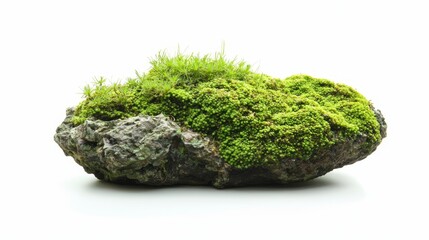 A rock covered in green moss on a white background