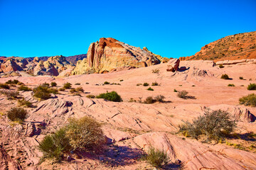 Vibrant Desert Rocks and Vegetation in Nevada Wide Angle View