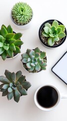 A cozy workspace with laptop, succulents, and coffee reflects productivity, creativity, and the importance of balance in a peaceful environment.