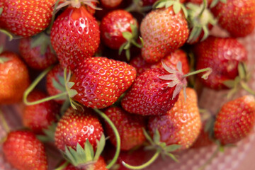 Fresh strawberries showing seeds and green stems