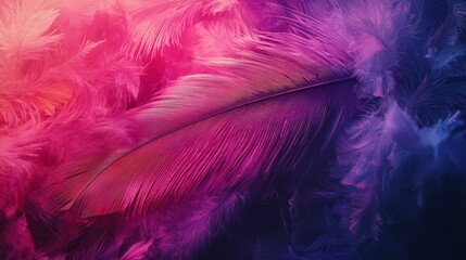 Obraz premium A close up of a pink and blue feather on a black background