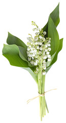 Bouquet de brins de muguet	