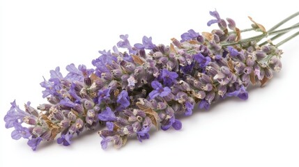 A bunch of lavender flowers on a white background